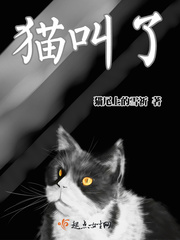 猫叫了个咪咪