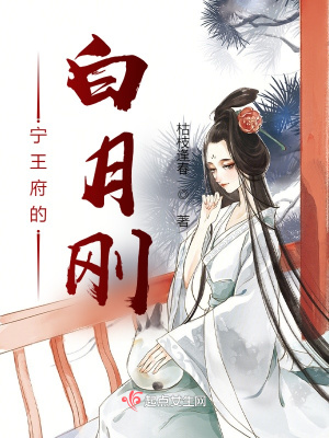 宁王妃小说人物介绍