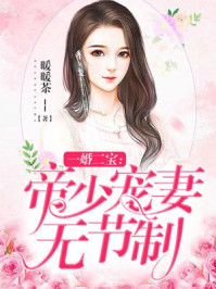 一婚二宝:帝少宠妻无节制权爷