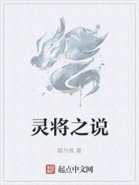 灵将小说