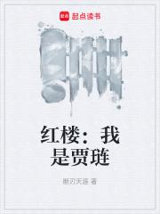 红楼:我是贾琏