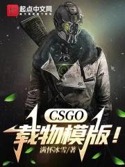 csgo载物模版免费