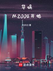 娱乐从2004年开始小说