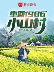 重回1986小山村无广告小说