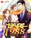 小说《逆袭1988》