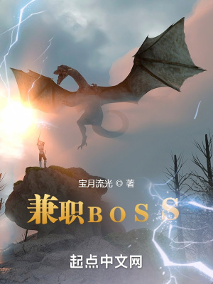 兼职boss小说下载